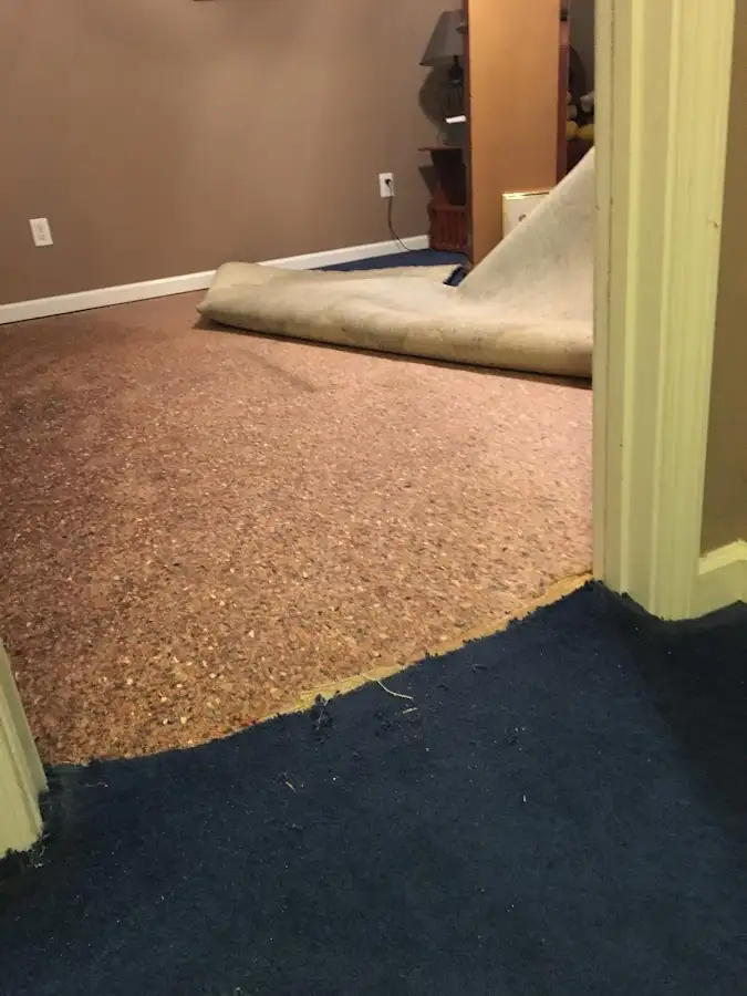 Carpet pad removal revealing water damage during Water Mitigation Services in Scottsburg