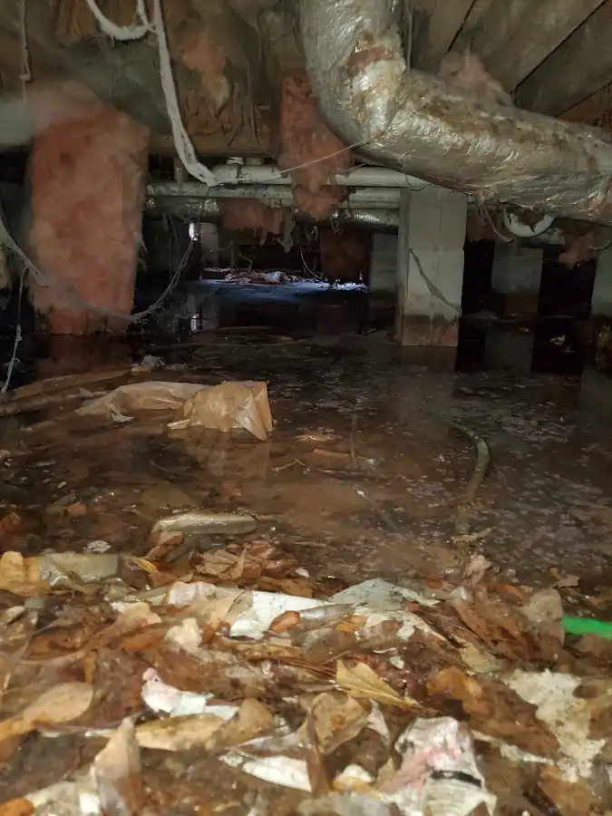 Crawl space flood assessment for Commercial Water Damage Restoration in Scottsburg